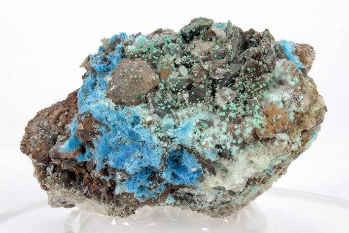 Vibrant Blue, Cyanotrichite Crystal Aggregates - China #218400